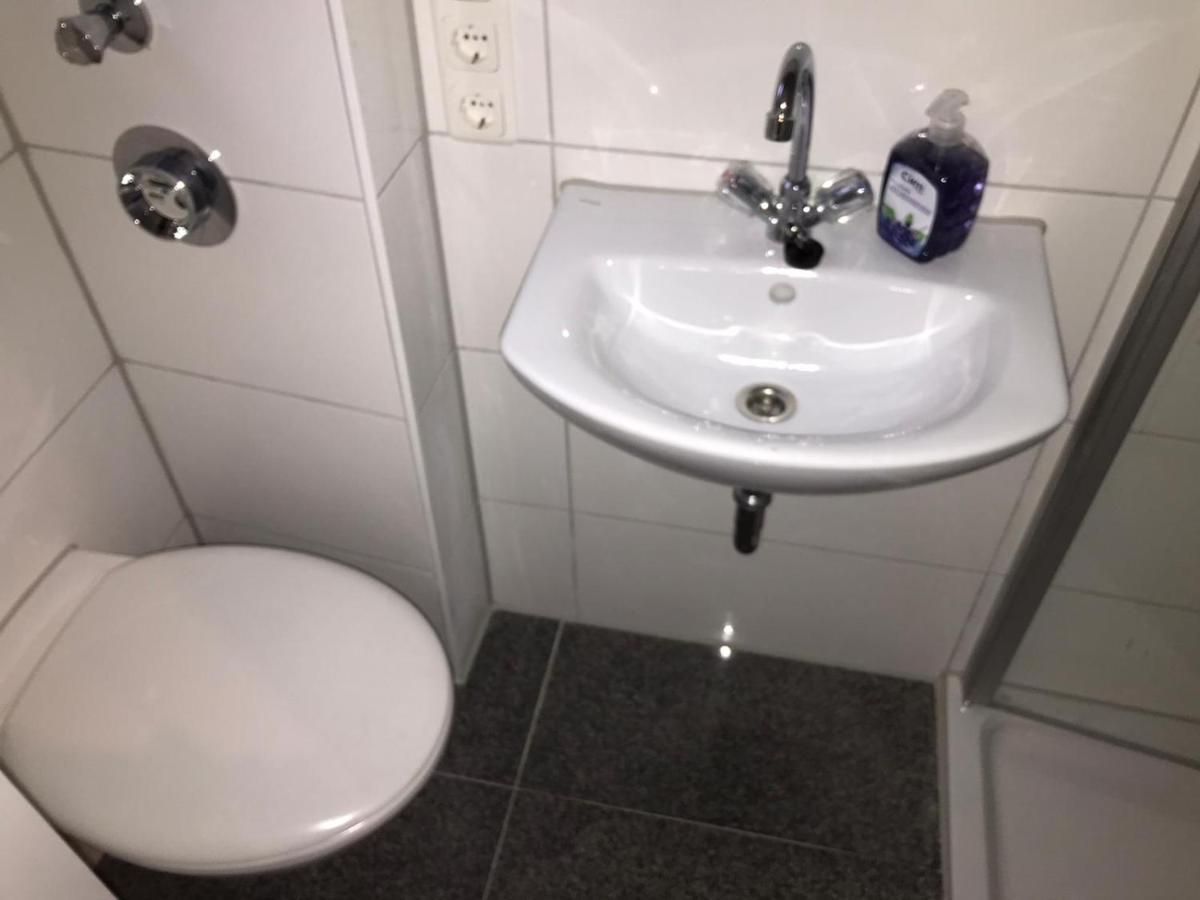 Roter Sandstein Zink Mainz Exteriör bild